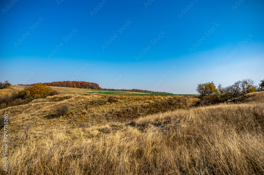 Panorama of an agricultural field Panorama of an agricultural field