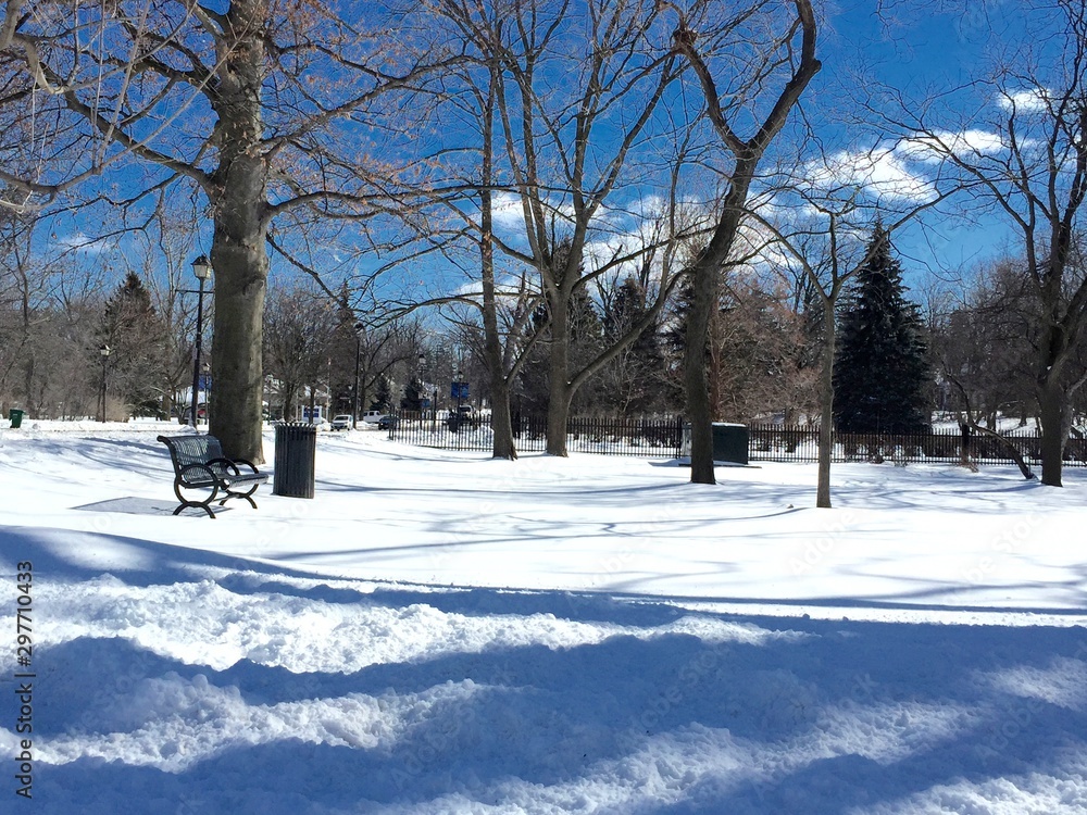 View of park after fresh snowfall View of park after fresh snowfall