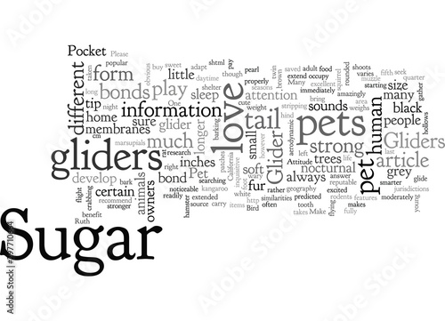 AKA Pocket Pet with Attitude