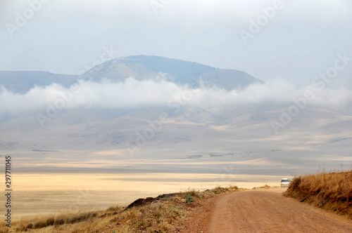 Fototapeta Naklejka Na Ścianę i Meble -  Safari tour in Ngorongoro Crater, Tanzania.