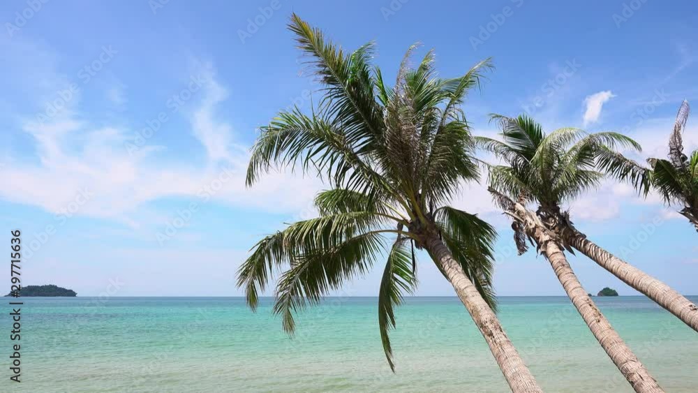 Tropical pristine beach with coconut palm and turquoise water, summer time to travel beach. footage b-roll scene 4k. Tropical pristine beach with coconut palm and turquoise water, summer time to travel beach. footage b-roll scene 4k.