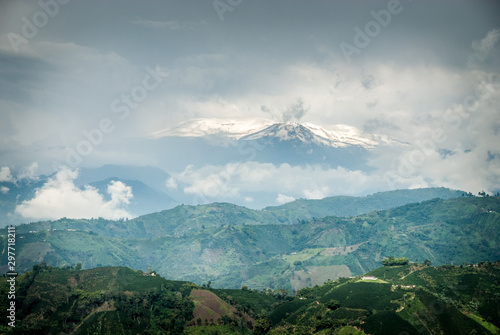 Cafetales en Chinchiná Caldas, café y revisión de el producto en el campo Colombiano Paisaje Cultural CAfetero