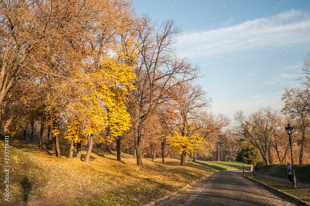 autumn in the park