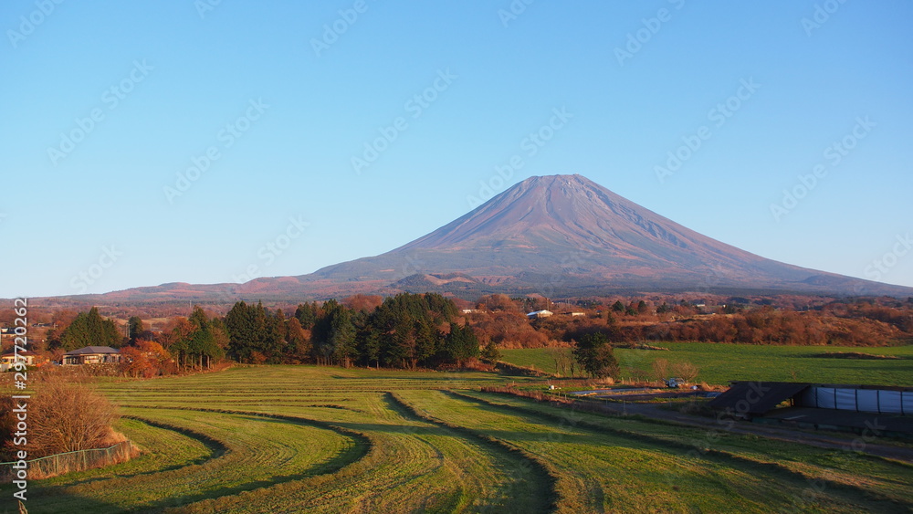 秋色に染まる富士山