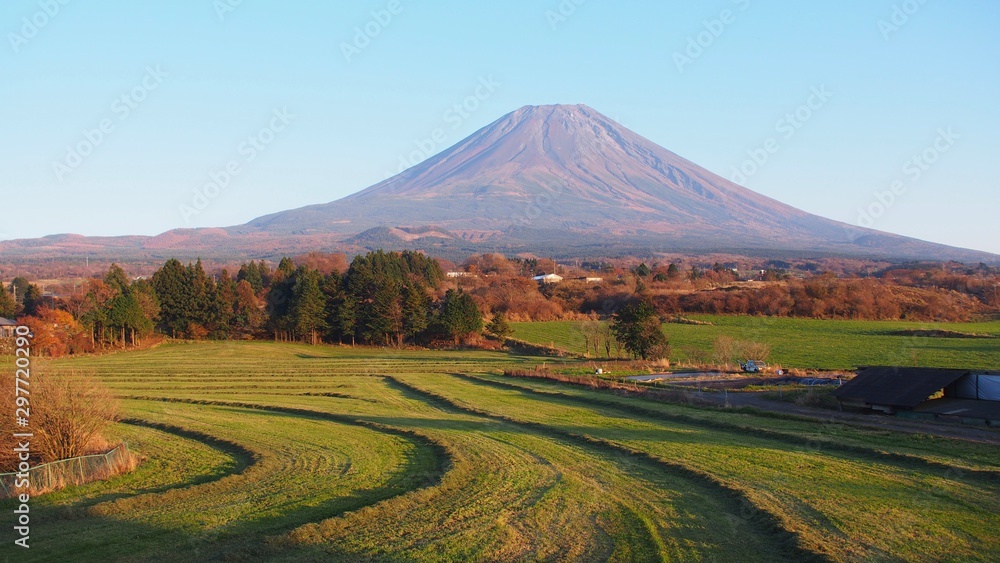 Naklejka premium 秋色に染まる富士山
