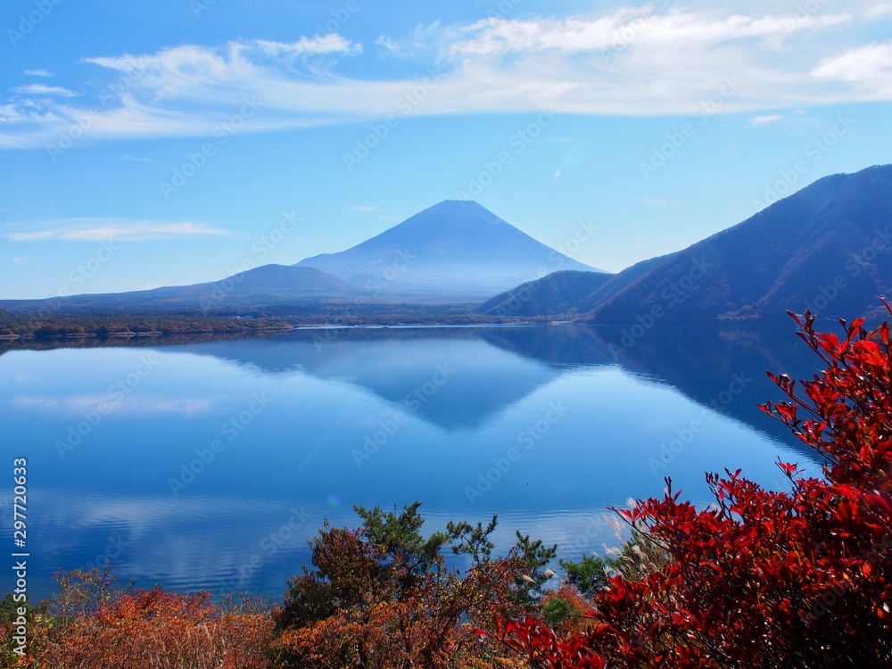 Fototapeta premium 葉の時期の富士山