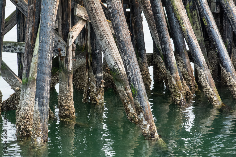 pier support pier support