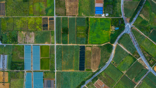 沖縄の田園風景