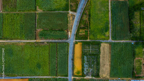 日本の田園風景　空撮