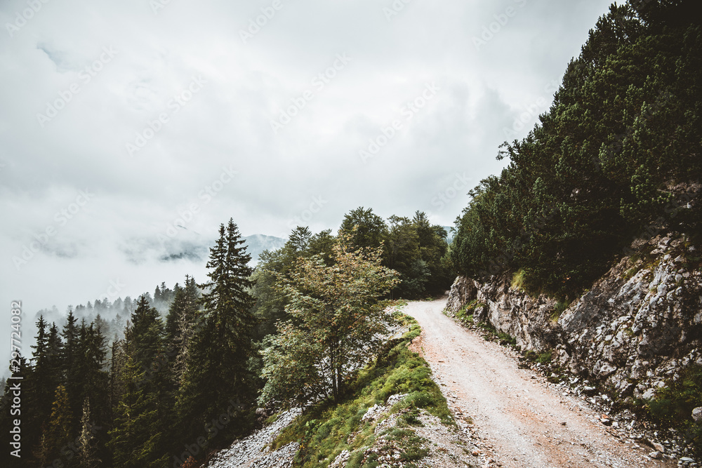 Obraz premium road in the mountains