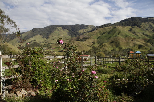 Palomar Anzoategui photo