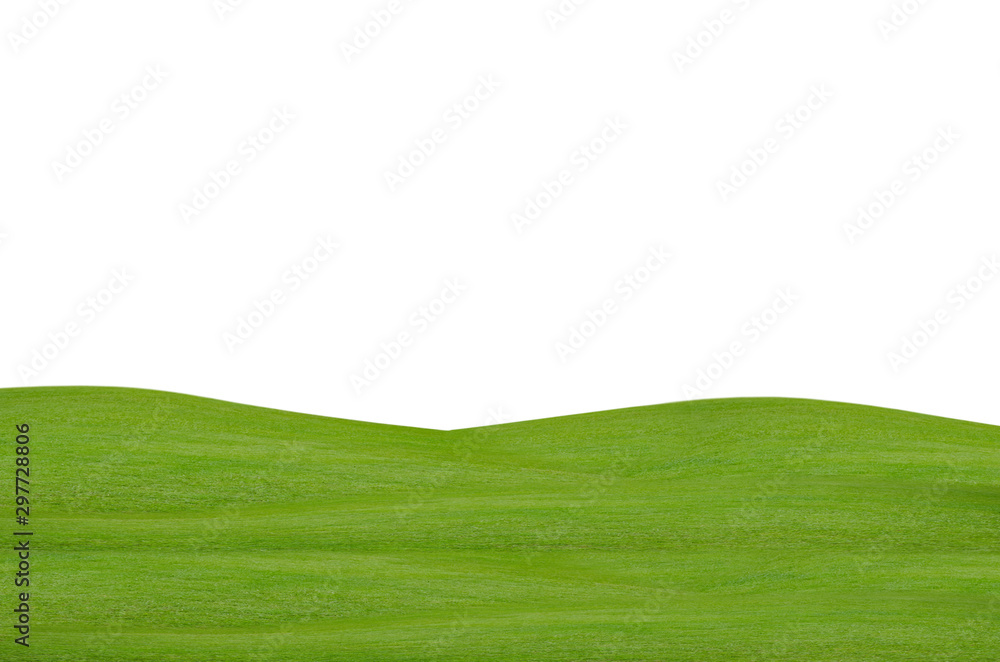 Green grass field isolated on white background with clipping path. Green grass field isolated on white background with clipping path.