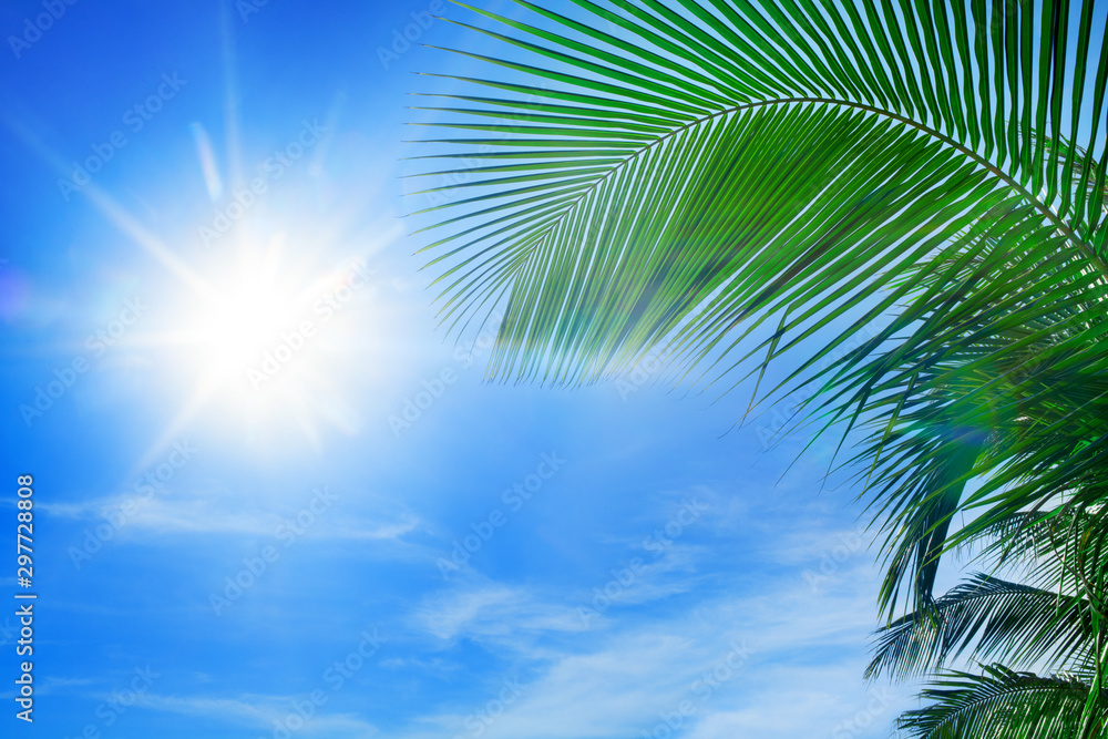 Green palm tree branches, bright blue sky, shiny sun beams background close up, palm leaves silhouette, sunlight glow, ray of lights, summer vacation concept, tropical beach holiday banner, copy space Green palm tree branches, bright blue sky, shiny sun beams background close up, palm leaves silhouette, sunlight glow, ray of lights, summer vacation concept, tropical beach holiday banner, copy space
