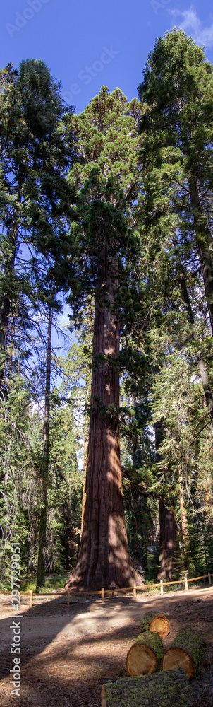Yosemite Fall 2019 Yosemite Fall 2019