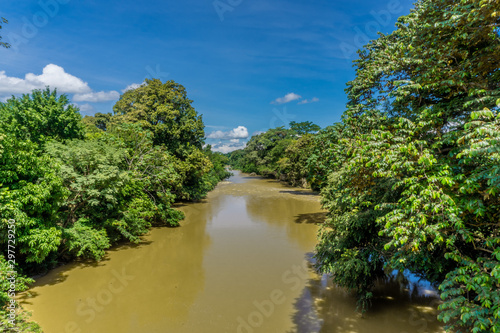 Rio en la mitad de la selva tropical