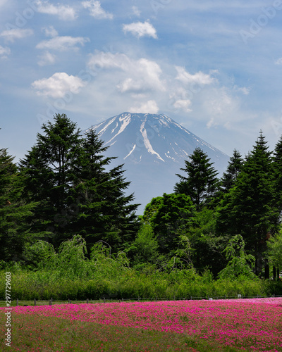 Fuji 5