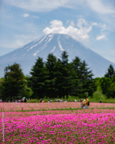 Fuji 6
