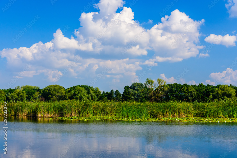 Summer landscape with the green trees and river Summer landscape with the green trees and river