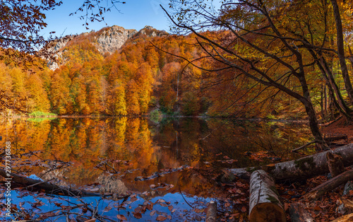 Wide panorama of mountain lake in the autumn season photo