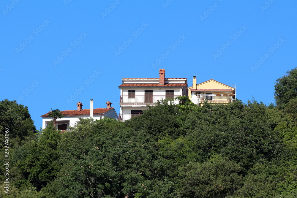 Three barely visible family houses on side of small hill with large balconies and closed wooden window blinds surrounded with dense forest and clear blue sky in background Three barely visible family houses on side of small hill with large balconies and closed wooden window blinds surrounded with dense forest and clear blue sky in background