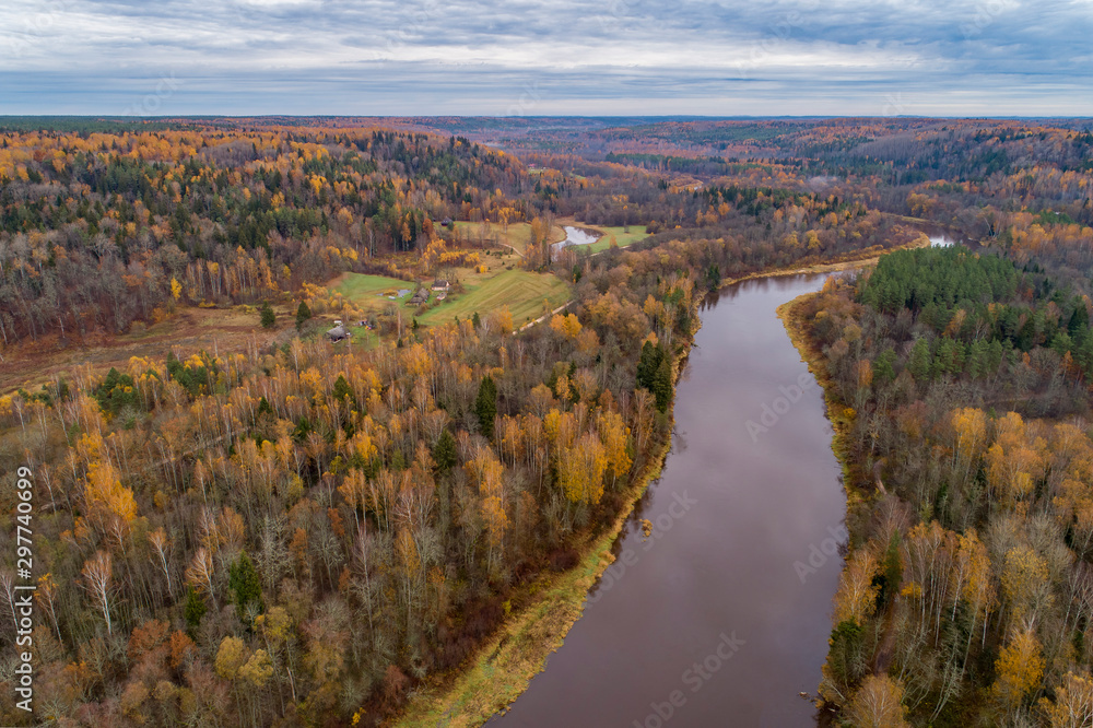 Thick colourful forest and river Gauja in autumn season in Gauja National Park, Sigulda, Latvia.	