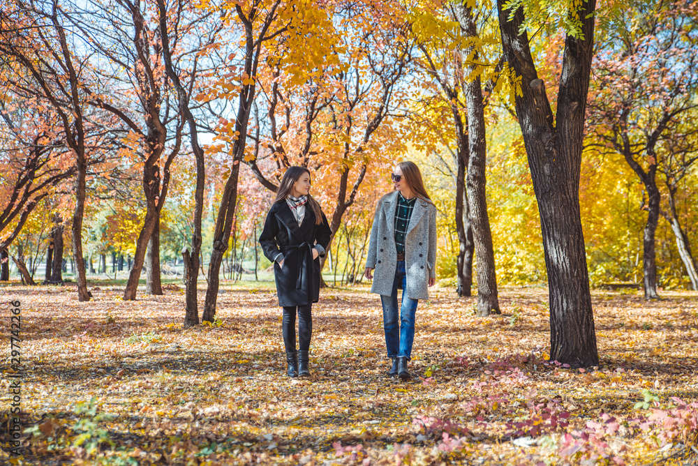 Fototapeta premium two girlfriends walking by autumn city park