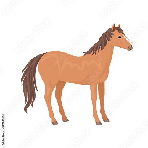 Brown horse isolated on a white background. Vector illustration of a cute animal in a simple cartoon flat style.