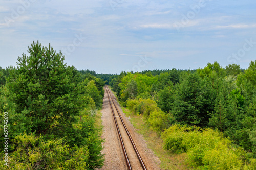 Aerial view of railroad track through a green pine forest