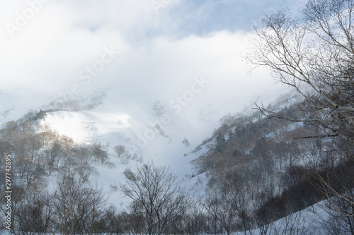 snow white mountain, back country, japan