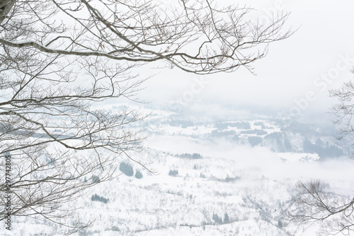 snow white mountain, back country, japan