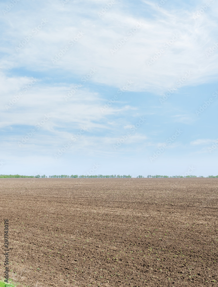 black agriculture field and blue sky with clouds