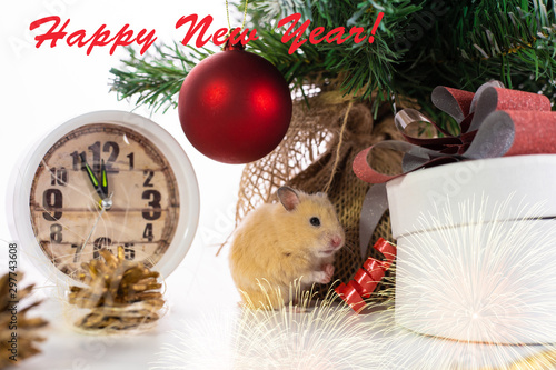 rat sits near a Christmas tree and watches. Symbol of 2020  new year  christmas. Happy New Year Greeting Card