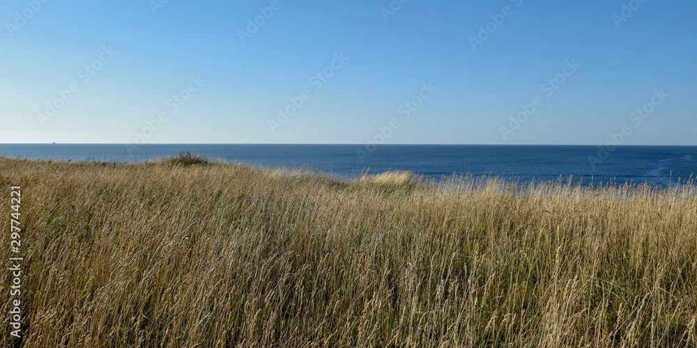landscape with sea shore. in the foreground a seaside meadow with a blue sea in the background