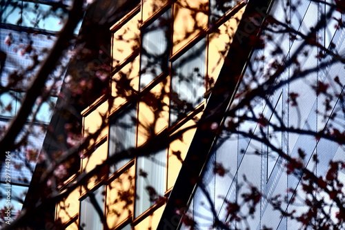 東京　スナップ