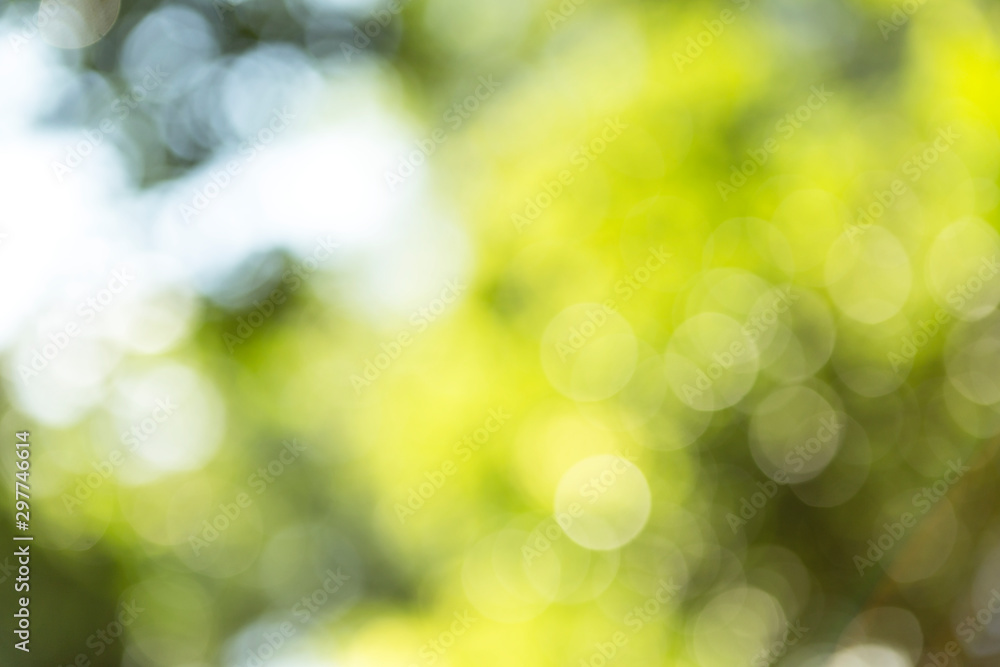 Abstract blurred natural green background, bokeh over green background
