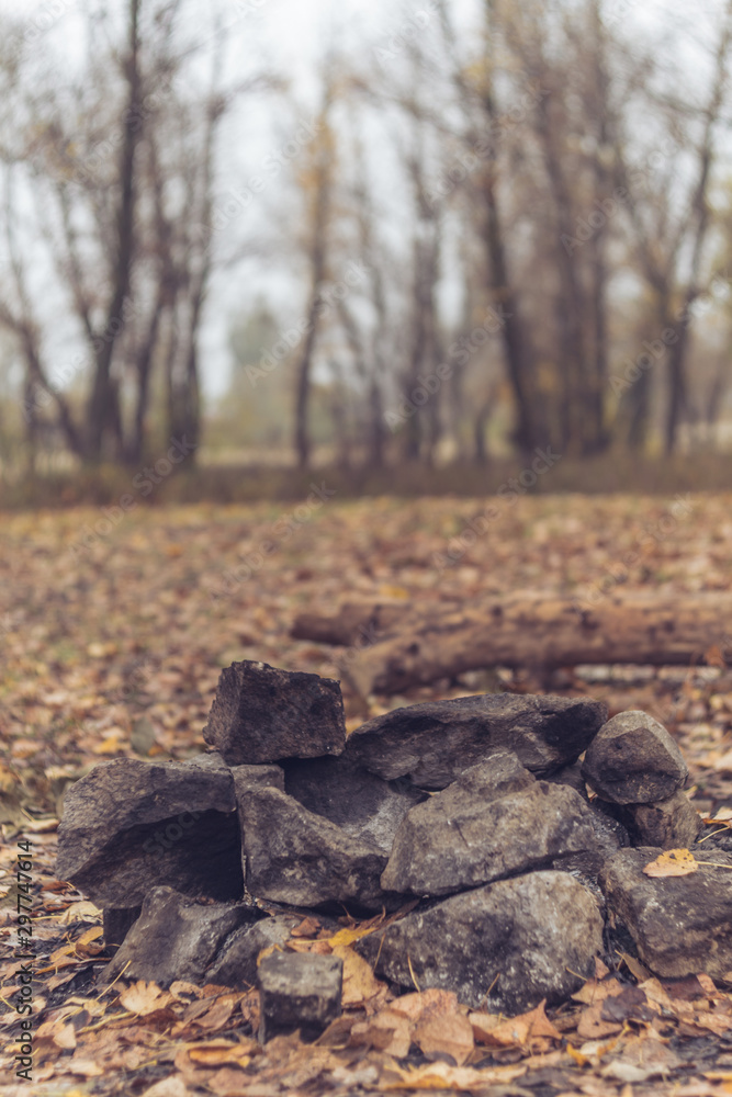 Extinct bonfire. Extinguished bonfire in the autumn forest. Prepared campfire site. Fireplace with stones. Extinct bonfire. Extinguished bonfire in the autumn forest. Prepared campfire site. Fireplace with stones.