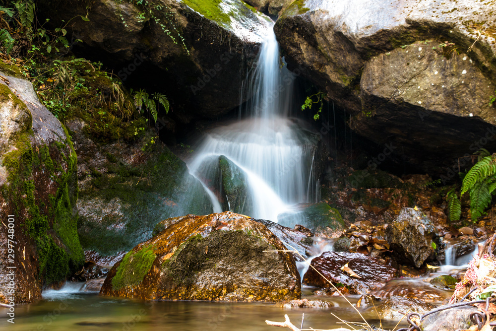 Fototapeta premium waterfall