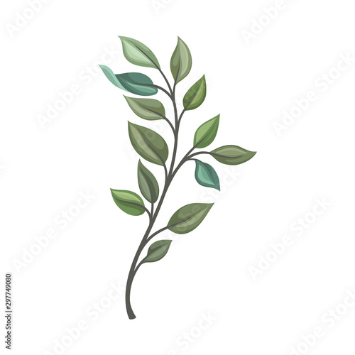 Thin stem with leaves. Vector illustration on a white background.