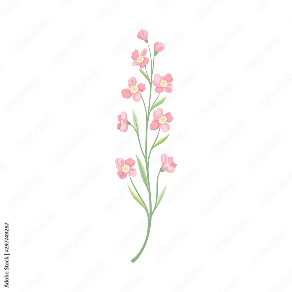 Pink flowers on a thin stalk. Vector illustration on a white background.