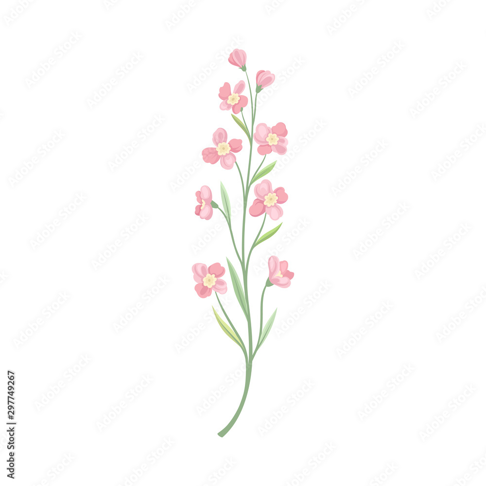 Pink flowers on a thin stalk. Vector illustration on a white background. Pink flowers on a thin stalk. Vector illustration on a white background.
