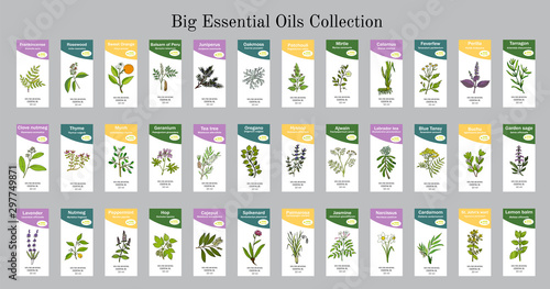 Big set of essential oil labels