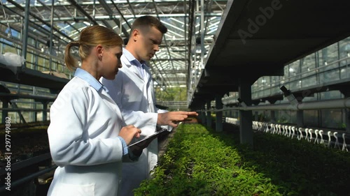 Busy scientists checking seedlings of newly bred plant in greenhouse, research