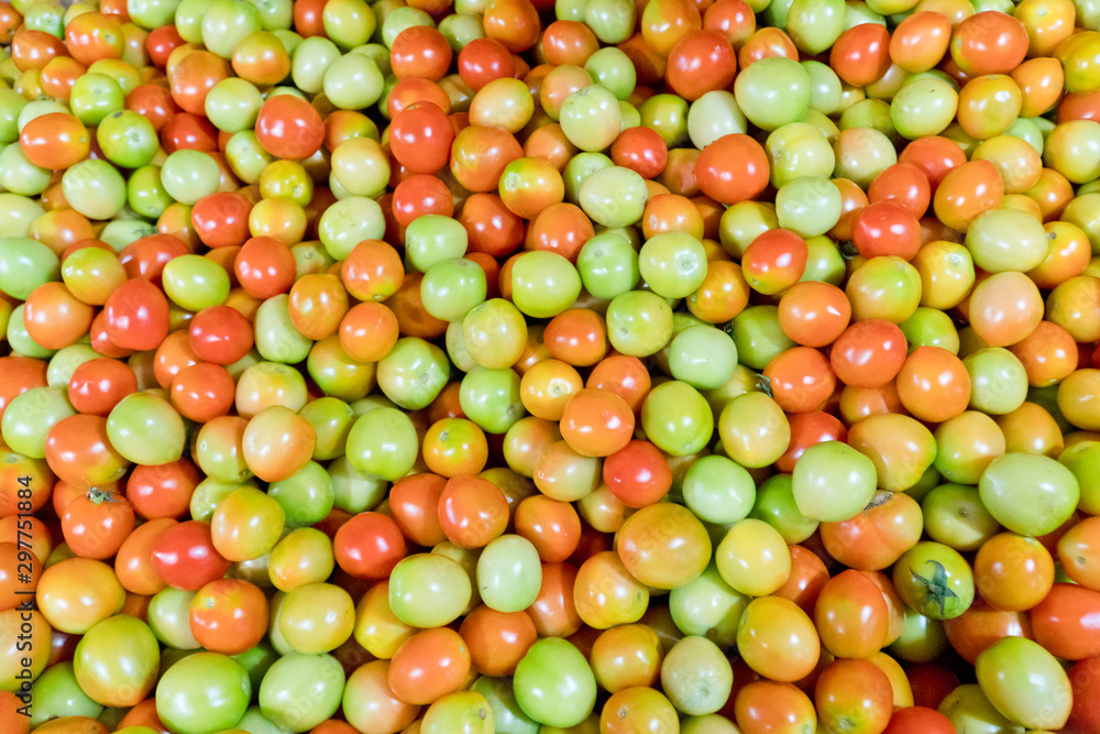 Green tomatoes, background. Harvest tomatoes, top view. Many fresh tomatoes at the vegetable market. Green tomatoes, background. Harvest tomatoes, top view. Many fresh tomatoes at the vegetable market.