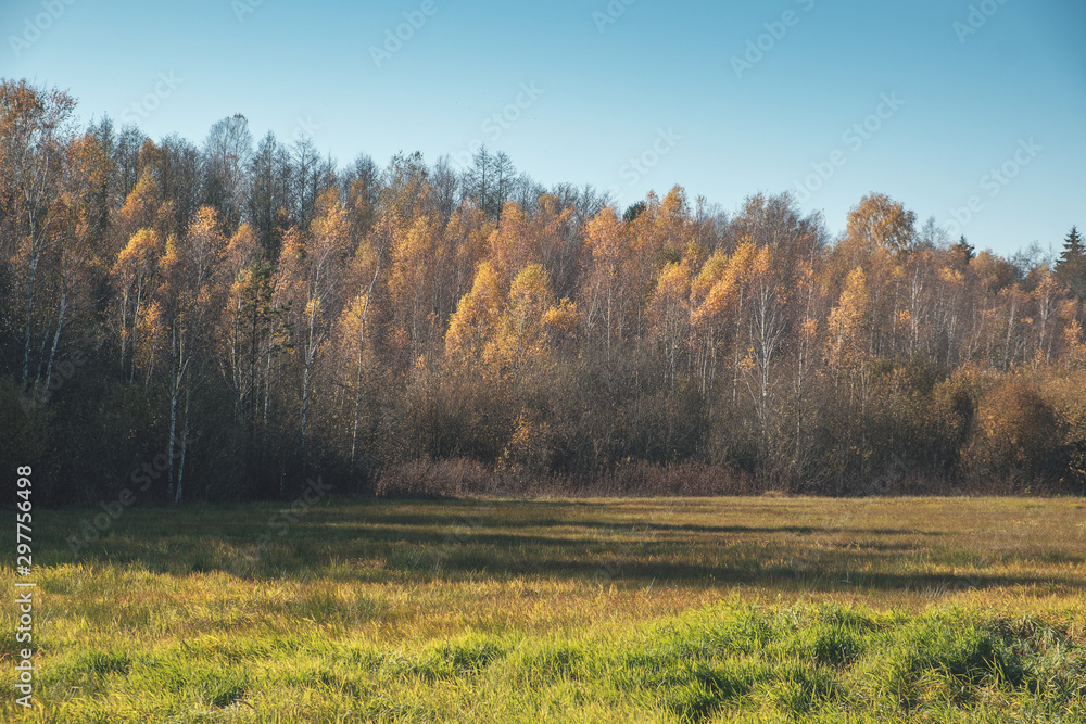 Fototapeta premium Field and forest in autumn colors.