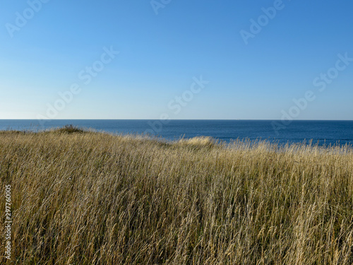landscape with sea shore. in the foreground a seaside meadow with a blue sea in the background