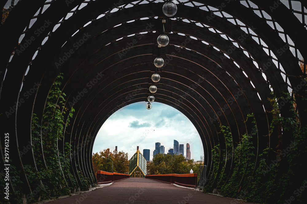 Fototapeta premium Autumn cityscape of Moscow. View from the bridge in the park.
