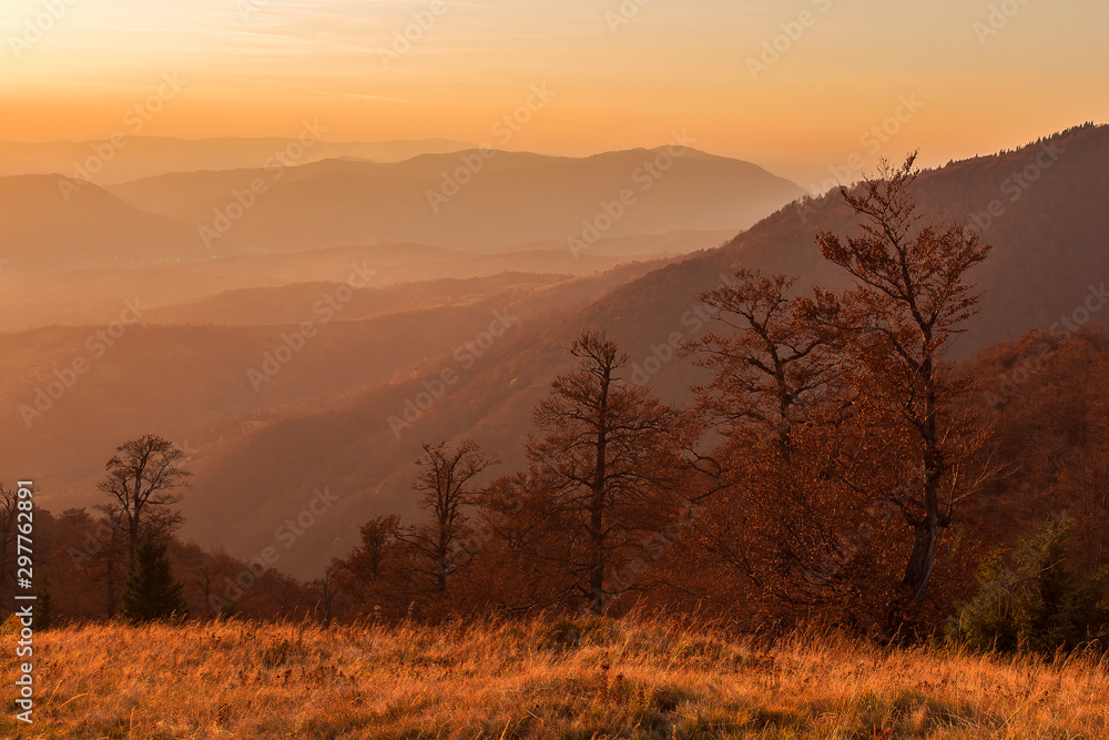 Golden autumn in the Carpathian Mountains, mountain slopes covered with beech forest in artistic evening light. Golden autumn leaves of giant beeches glow in the evening light.