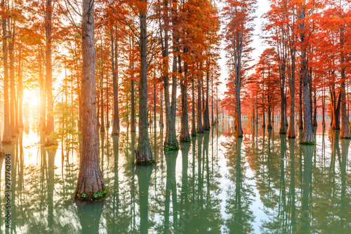 Beautiful colorful forest and water reflection in nature park,autumn landscape.