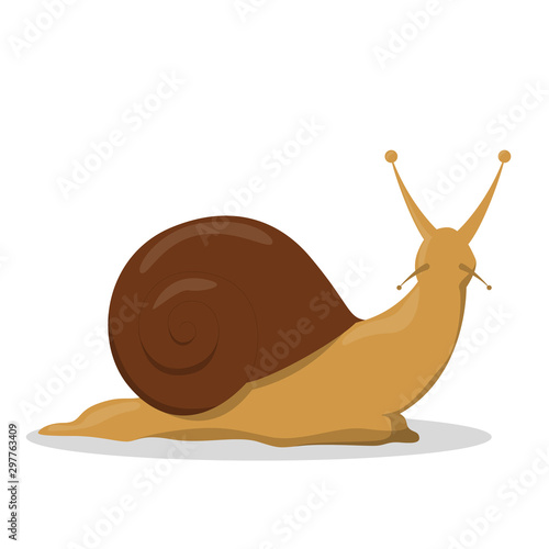 Garden brown snail. Idea of slow animal, creature.