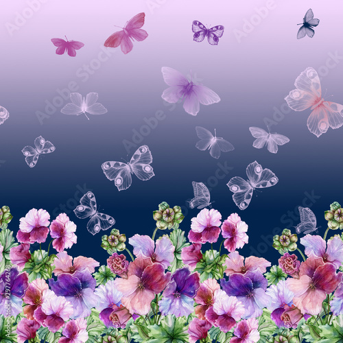 Beautiful regal pelargonium (geranium) flowers and flying butterflies with gr...
